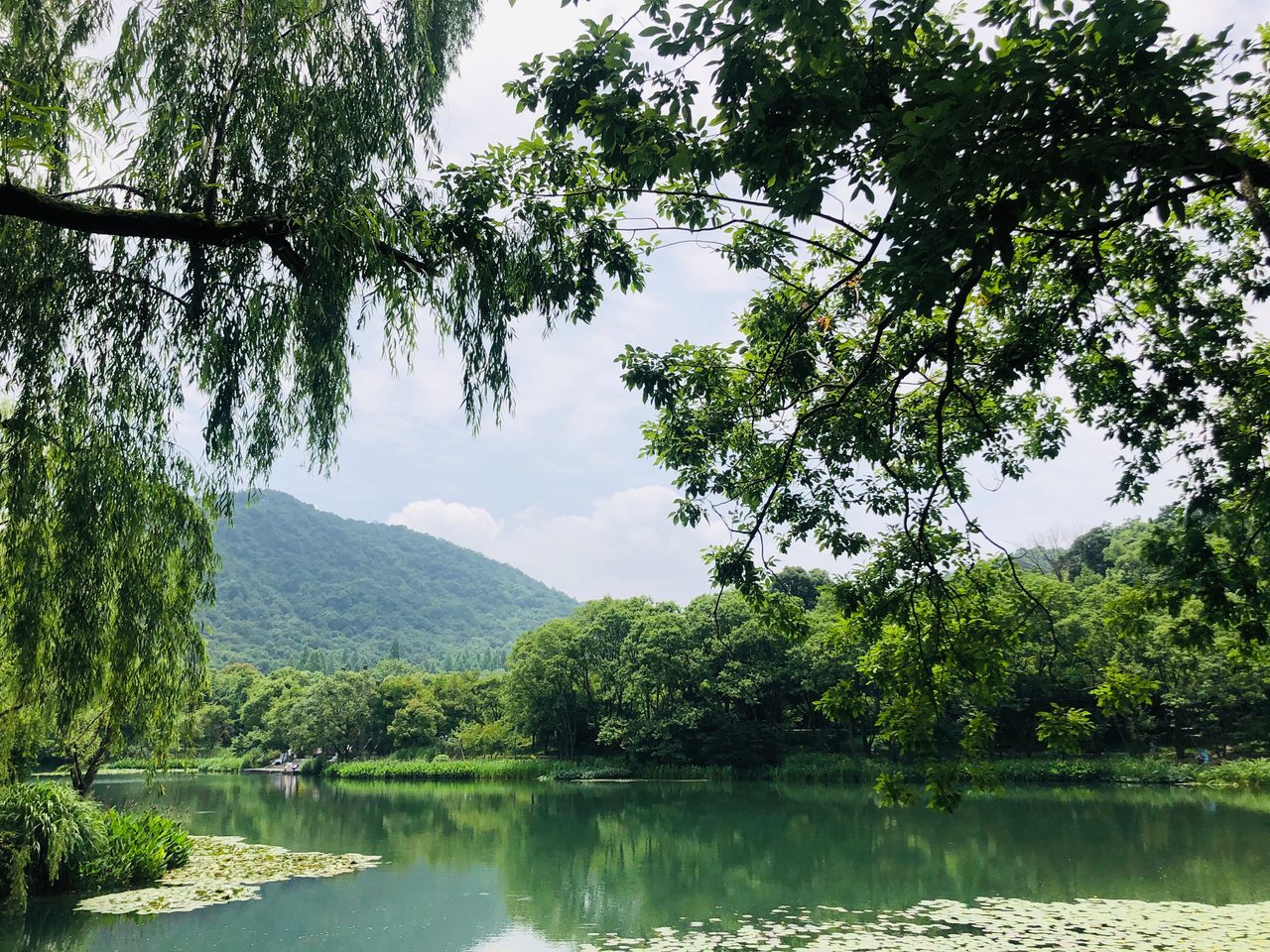Xixi National Wetland Park