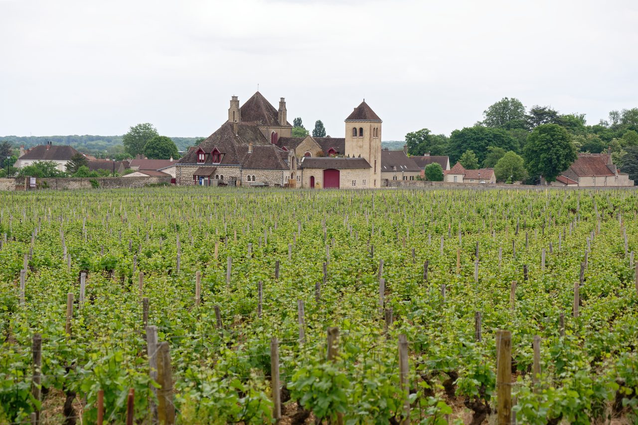 Abbaye de Cluny