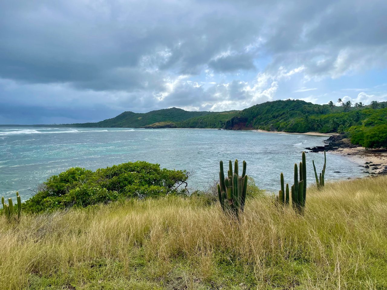 Les Salines Beach