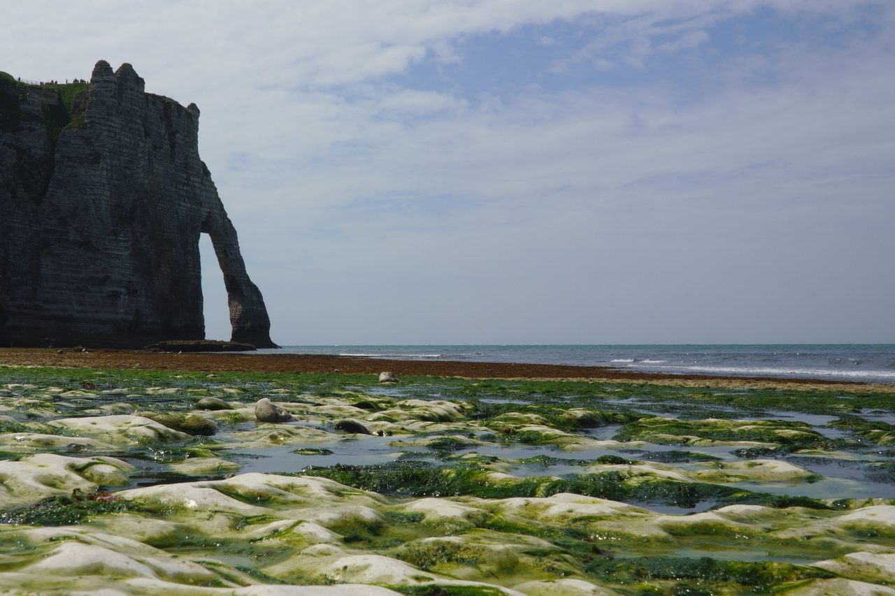 Étretat Cliffs