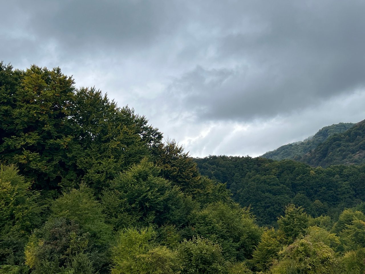 Dadia Forest Reserve