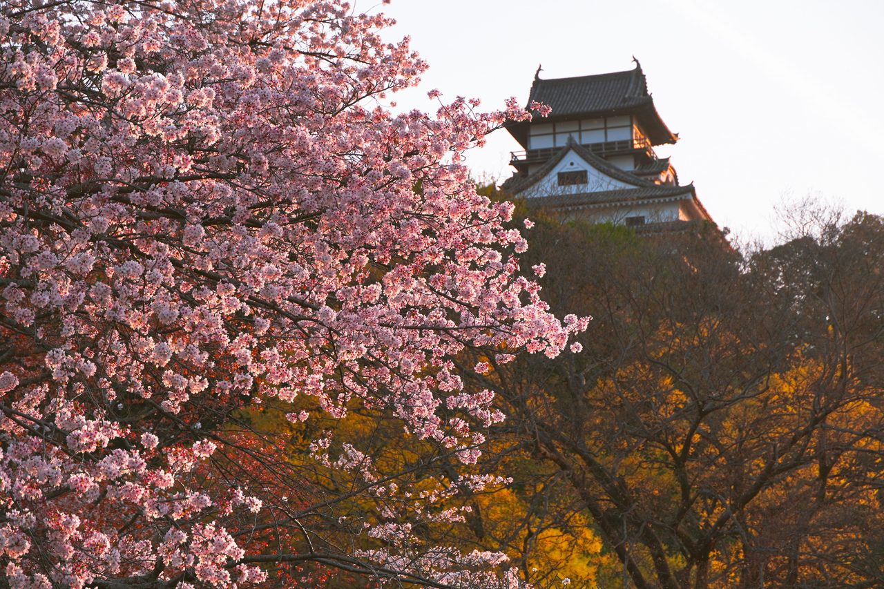 Inuyama Castle