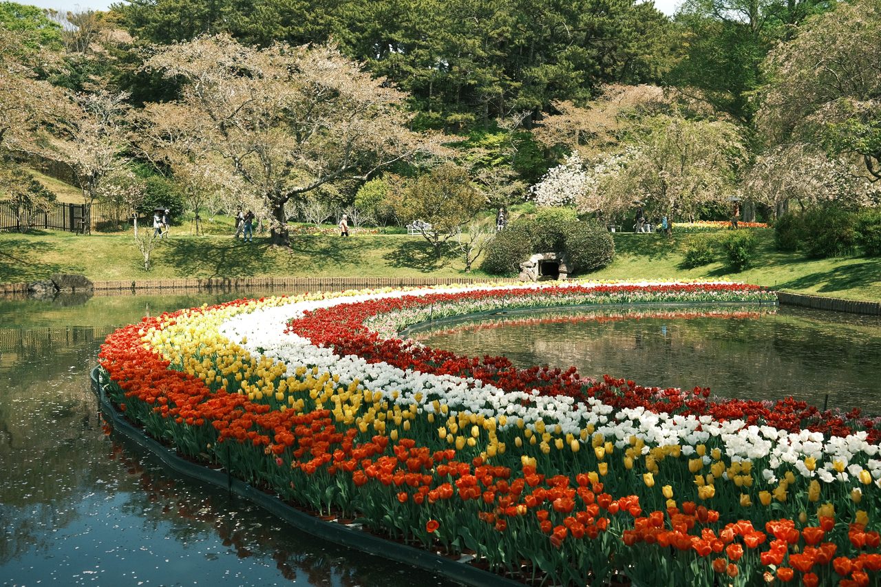 Makino Botanical Garden