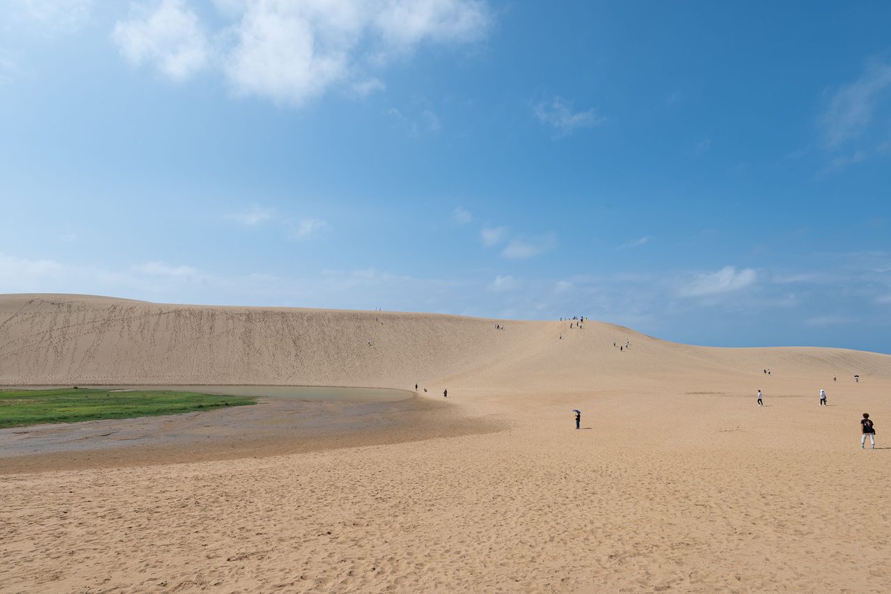 Tottori Sand Museum