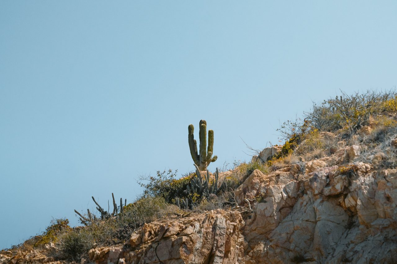 La Bufadora