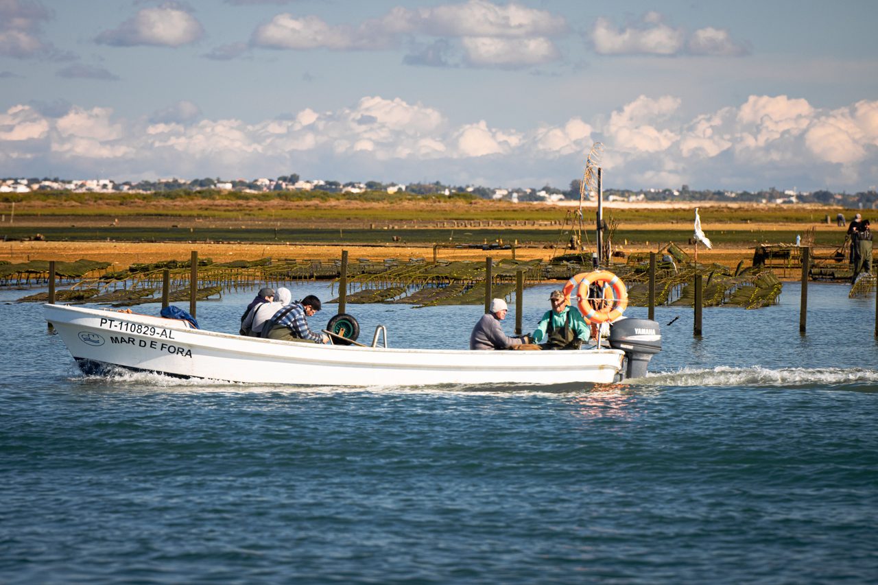 Ria Formosa Natural Park