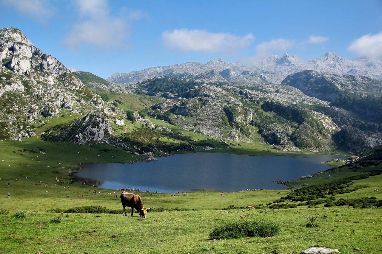 Covadonga Sanctuary & Lakes