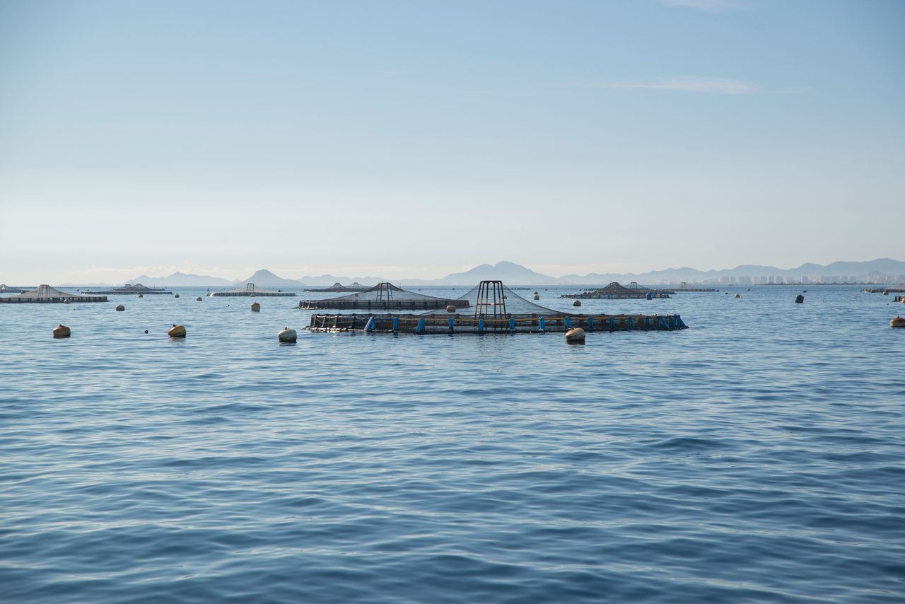 Mar Menor