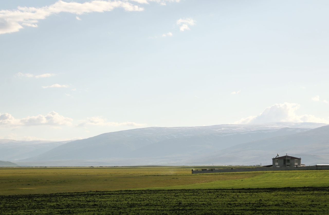 Ardahan