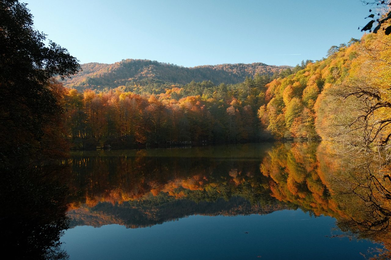 Yedigöller National Park