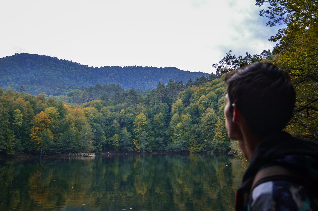 Efteni Lake