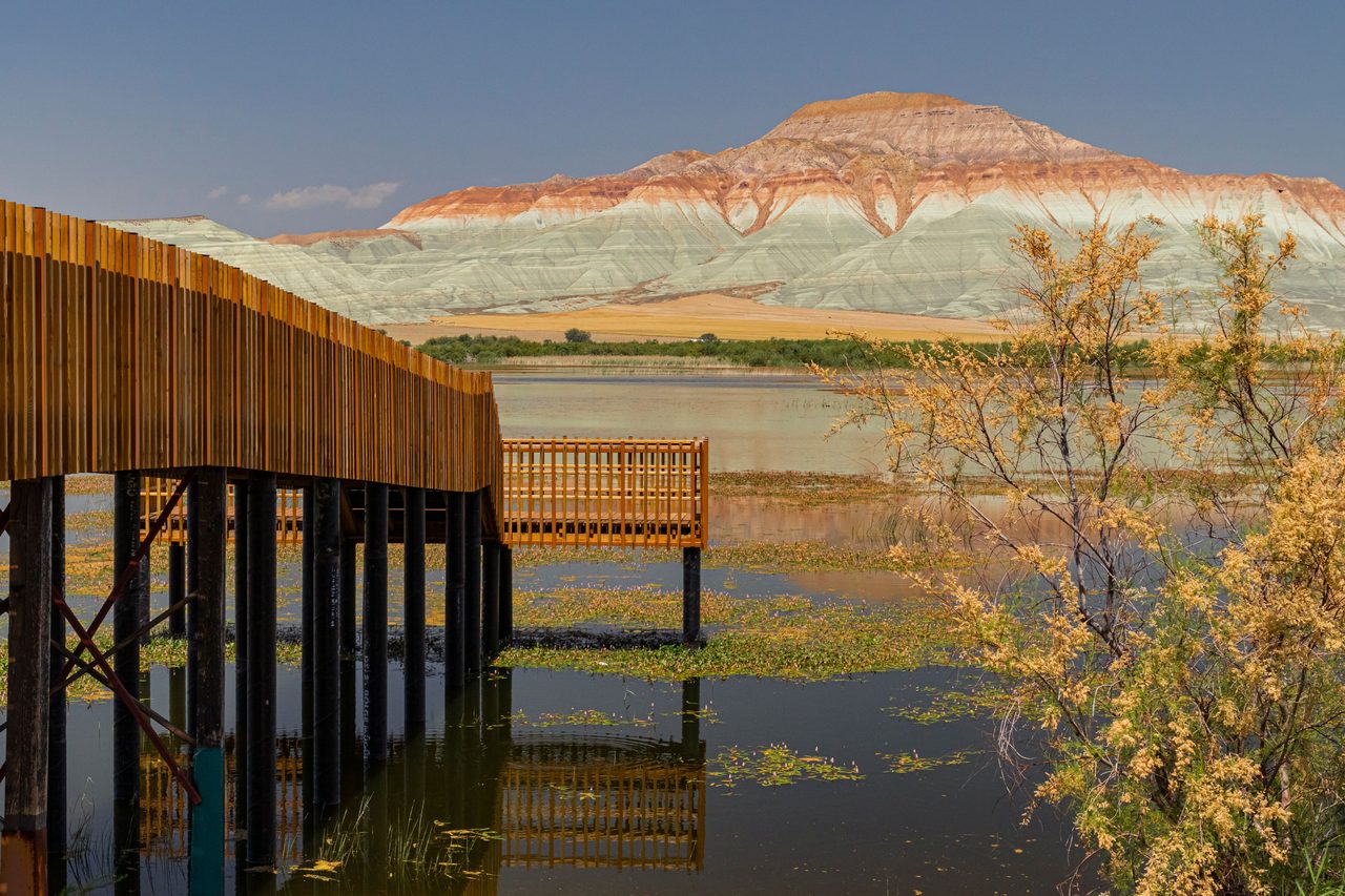 Aralık Reed Beds (Kuş Cenneti)