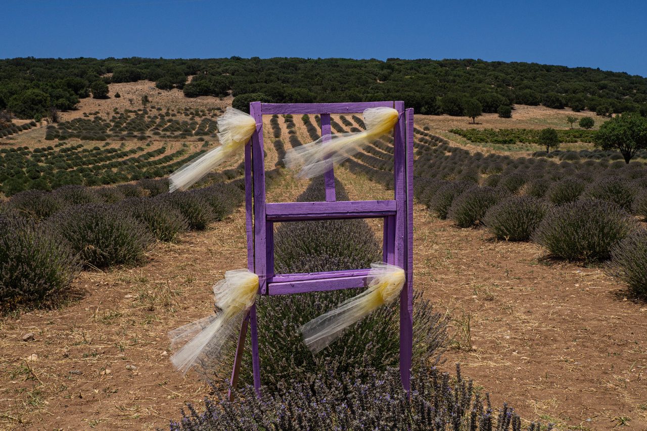 Rose Fields of Gülkent