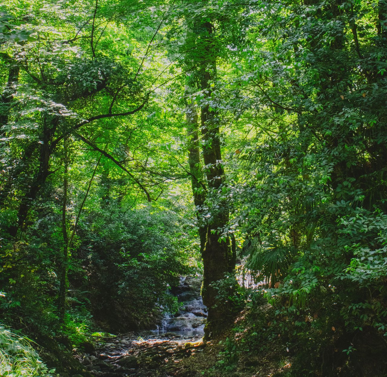 Gökçedere Waterfall