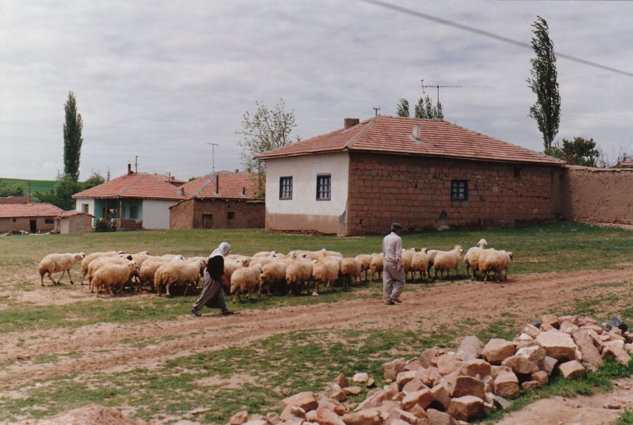 Alacahöyük