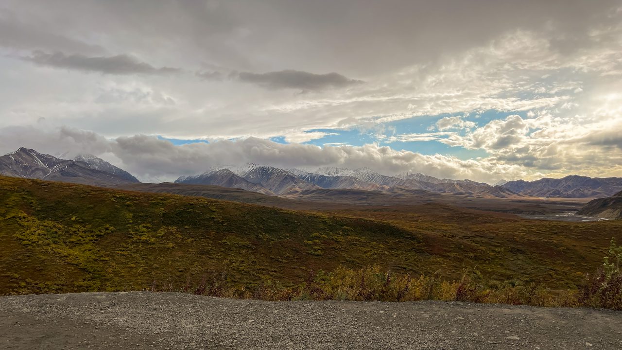 Denali National Park