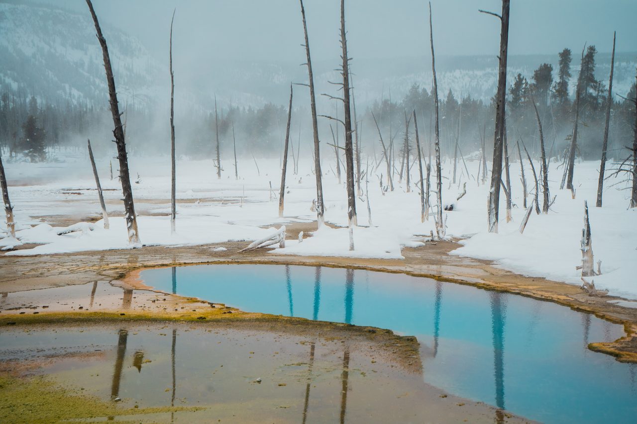 Yellowstone National Park