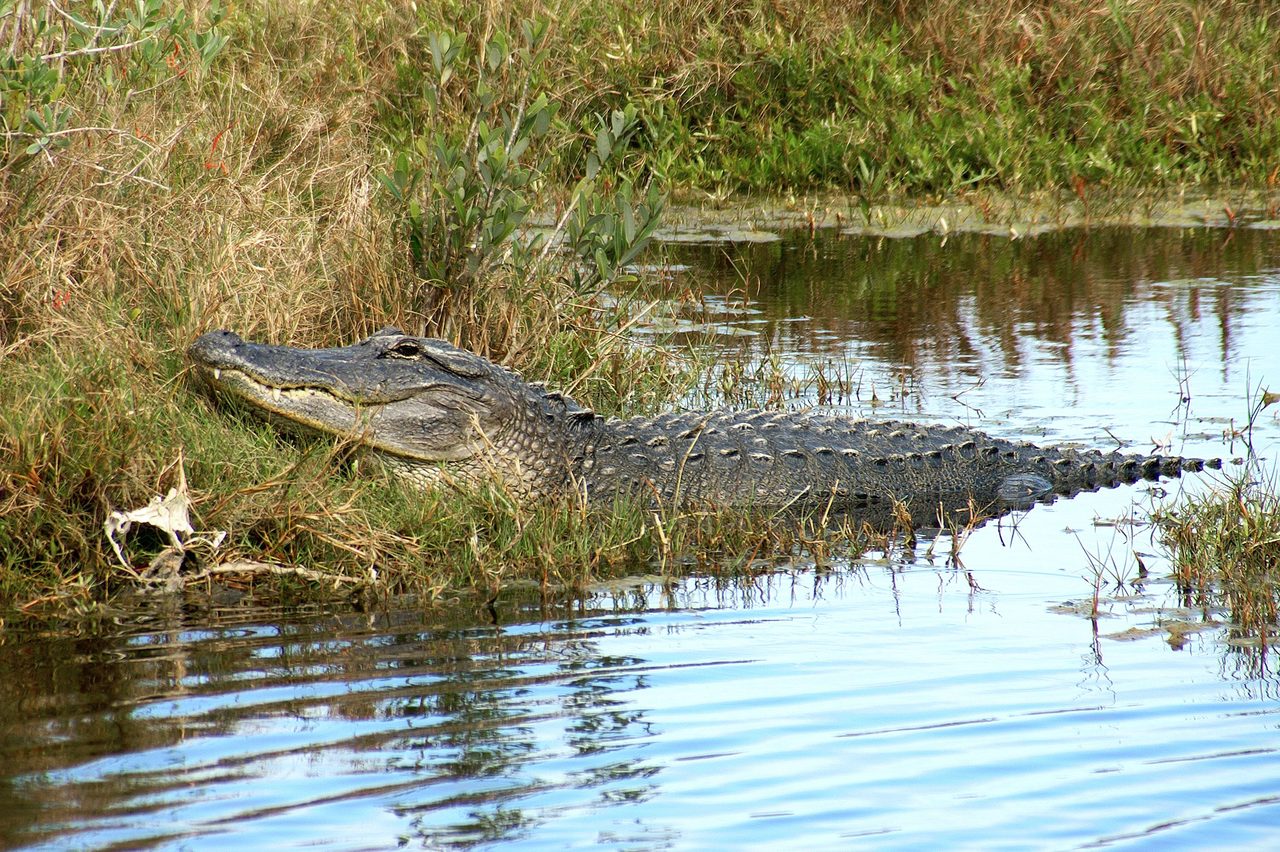 Everglades National Park