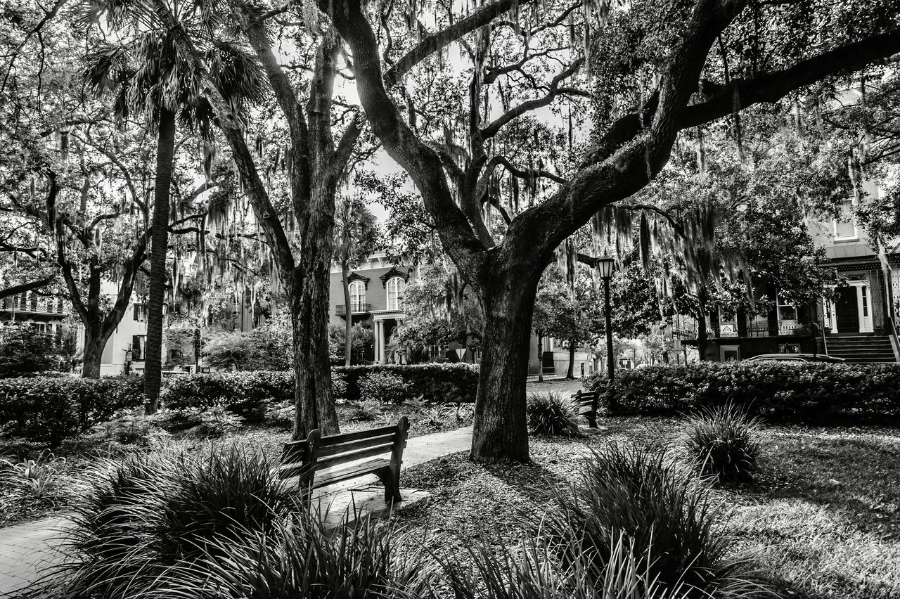 Savannah Historic District