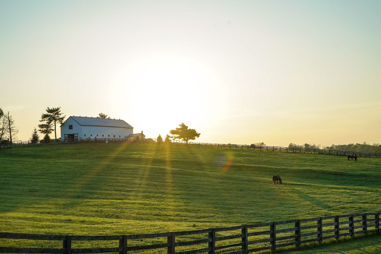 Kentucky Horse Park