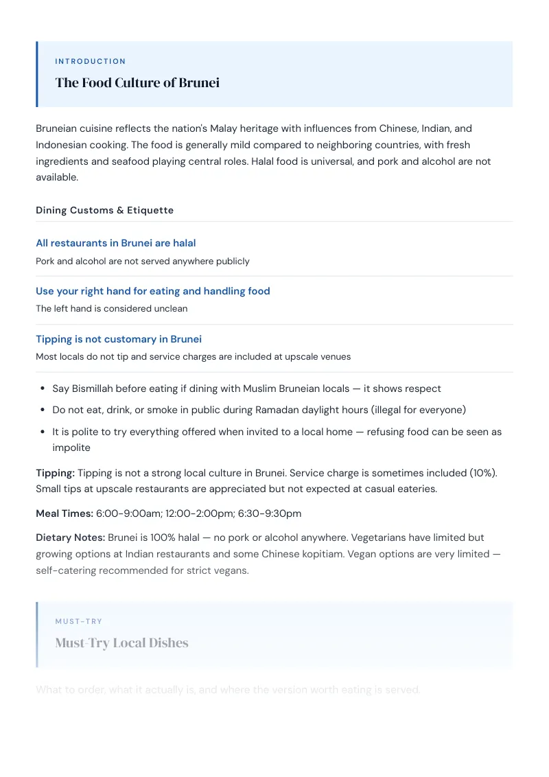 Brunei Complete Travel Bundle: Food guide · Must-Try Local Dishes